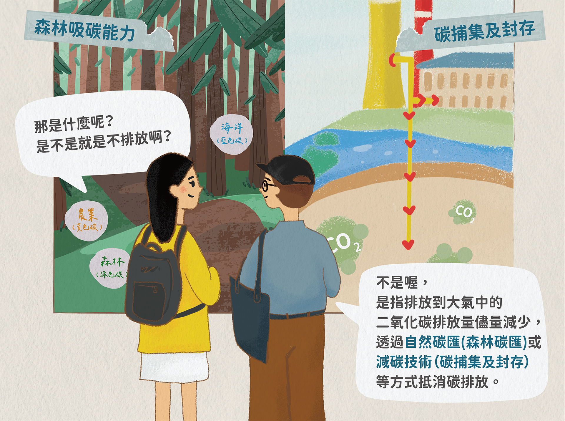 森林吸碳能力，碳捕集及封存
